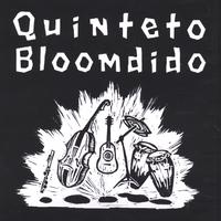 Steve Bloom : Quinteto Bloomdido