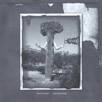 Steve Brand : Awakensong