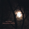 STEVE BRUCE: Songs Of Moon & Fey