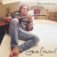 Steve Carlson : Spot in the Corner