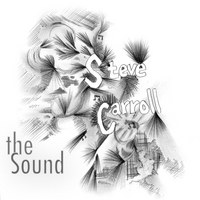 STEVE CARROLL: the Sound