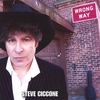 STEVE CICCONE: Wrong Way