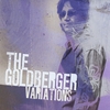 Steve Goldberger: The Goldberger Variations