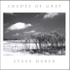 STEVE HABER: Shades of Gray