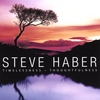 STEVE HABER: Timelessness | Thoughtfulness