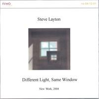 Steve Layton : Different Light, Same Window