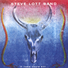 STEVE LOTT BAND: If Licks Could Kill