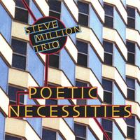 Steve Million : Poetic Necessities