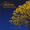 STEVE MISIASZEK: Autumn Wonders