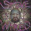 STEVE GENEREUX: Wired
