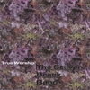 THE STEVEN BRACK BAND: True Worship