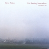 STEVE NIEVE: It's Raining Somewhere