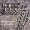 STEVE PALMER: Roots And Strings