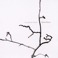 Steve Peters : Occasional Music