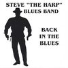 STEVE "THE HARP" BLUES BAND: Back In The Blues