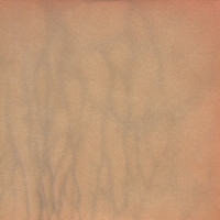 Steve Tomasula: Bodies in Flatland