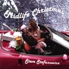 STEVE STEFANOWICZ: Midlife Christmas