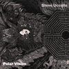 STEVE UCCELLO: Polar Vision