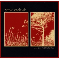 STEVE VACLAVIK: Long Grass And The Tall Trees