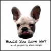 STEVE WINGO: Would You Love Me?