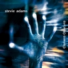Stevie Adams: Camera Obscura