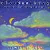 STEWART ST JOHN: Cloudwalking