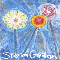 Storm Gordon : Songs for Birdman