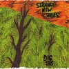 STRANGE NEW SHOES: Dig This