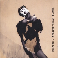 STRASSE : Transylvanian Flower