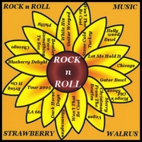Strawberry Walrus : Rock n Roll Music