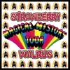 STRAWBERRY WALRUS: Magical History Tour