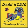STRAWBERRY WALRUS: Dark Horse
