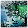 Stray Theories: Ambient Places