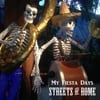 Streets of Rome: My Fiesta Days