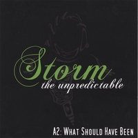 Storm the Unpredictable : A2: What Should Have Been
