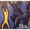 STU: First Compilation
