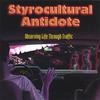 STYROCULTURAL ANTIDOTE: Observing Life Through Traffic