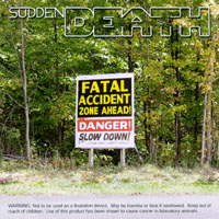Sudden Death : Fatal Accident Zone