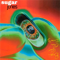 Bring Your Own Insanity by Sugar Jones