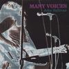 JOHN SULLIVAN: Many Voices