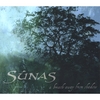 SUNAS: A Breath Away From Shadow