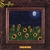 SUNFLOW: Under the Stars