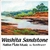 SUNFLOWER: Washita Sandstone