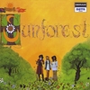 SUNFOREST: Sound of Sunforest