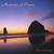 CHARLES SUNIGA: Moments of Peace: The Journey