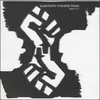 SUPERSONIC RIVERSIDE BLUES: Data4.5.1