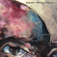 Super- String-Theory : Principles of Transformation