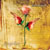 SURREY LANE: Love Must Grow