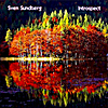Sven Sundberg: Introspect