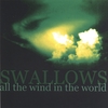 SWALLOWS: All the Wind in the World-single
